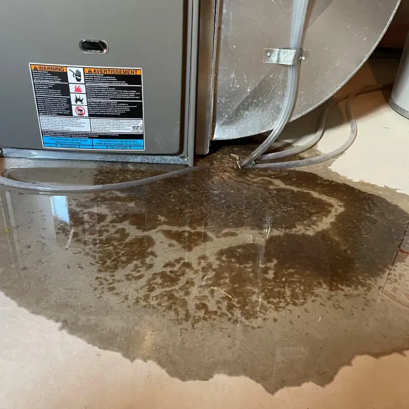 Appliance Leak Cleanup in Kekaha, HI