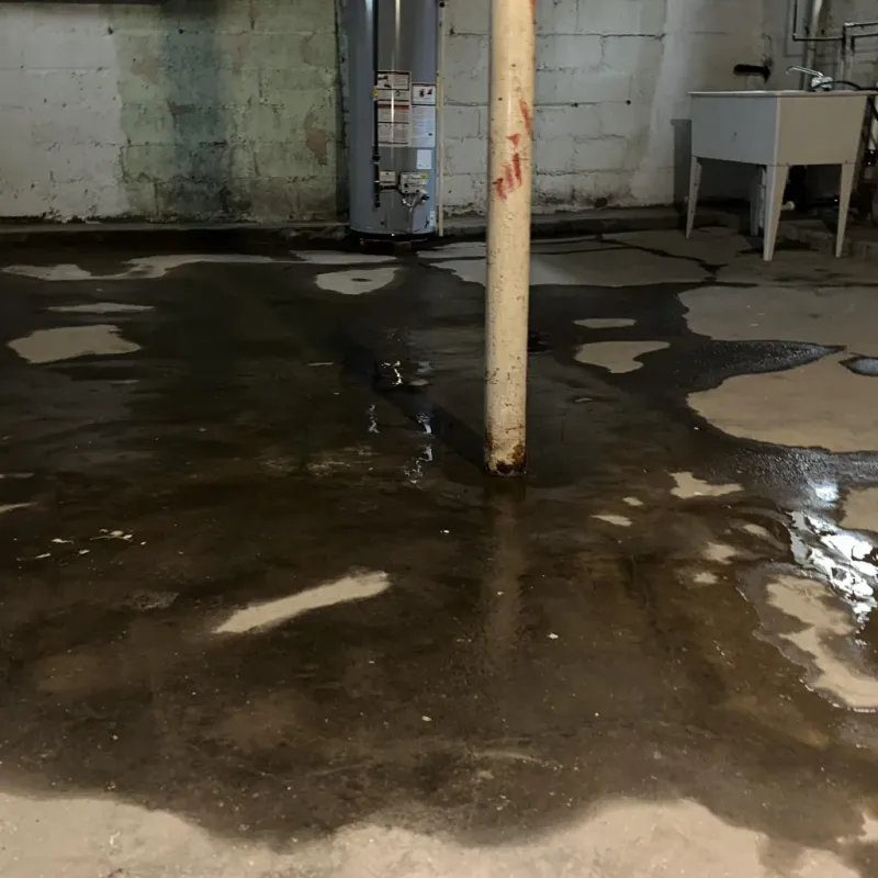 Emergency Water Extraction And Removal in Kekaha, HI